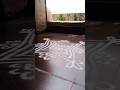 Simple &amp; Beautiful Rangoli Design ✨ | Easy Daily Rangoli | STP Rangoli #shorts #rangoli