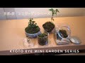 ミニチュアガーデン6　Mini-gardens 6
