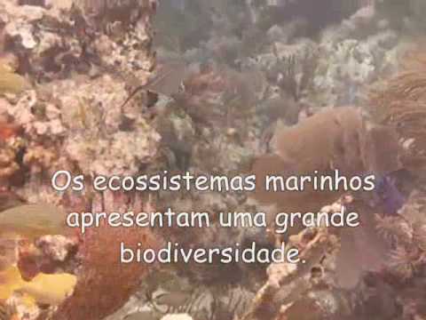 Serpentes Angolanas - Diversidade, importância e perigosidade - EcoAngola