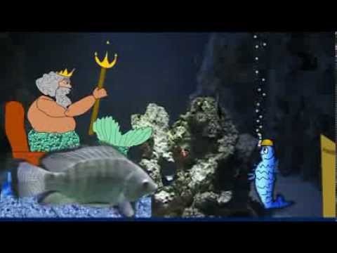 Das Verjüngungs-Geheimnis der Flüssigkeit im Organismus