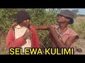 SELEWA KULIMI KORASI KALI UWEZO Msambazaji Ndatulu Jilala Tv 0757842535