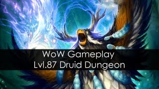 wow mists of pandaria dungeon mogo shan palace lvl 88 druid damage noob edition hd