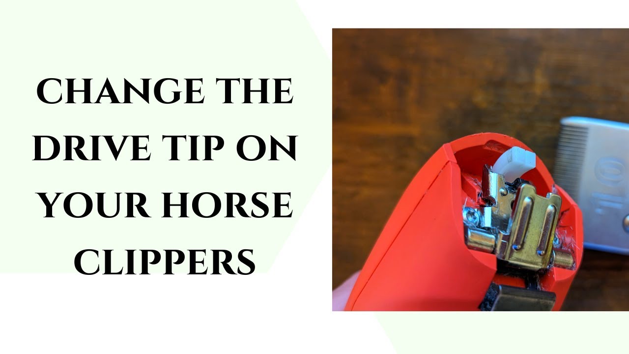 Horse clipper troubleshooting - change the drive tip