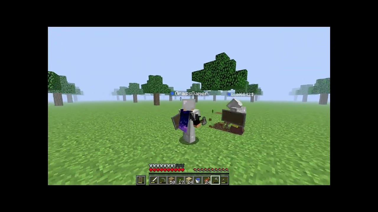 2 german idiots vs Wonderland.jar