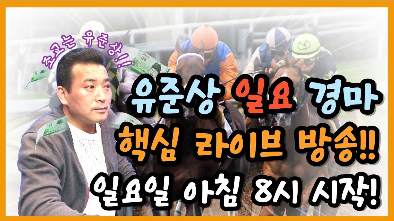유준상 경마 3/23 일요경마 핵심체크 실황방송 방송