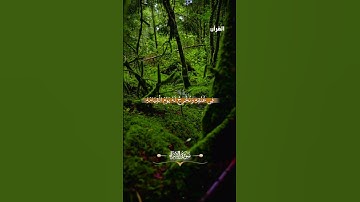 📖 {سورة الإسراء : الآية 13}🔊 تلاوة القارئ همام الكاظمي
