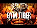 Become gym tiger  3 hours motivational speech  gym workout motivation