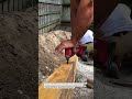 Precision Timber Framing with Impact Driver | Fast &amp; Clean Build #Woodworking #DIY #Construction