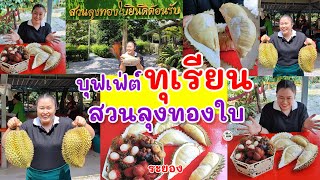 กินบุฟเฟ่ต์ทุเรียนและผลไม้ สวนลุงทองใบ |จ.ระยอง 2566