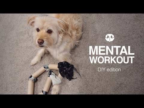 Video: Tekenen dat een puppy een hond met een hoge energie zal zijn