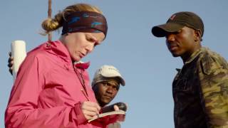 Sawfishes in the western Indian Ocean: Sampling for Sawfish
