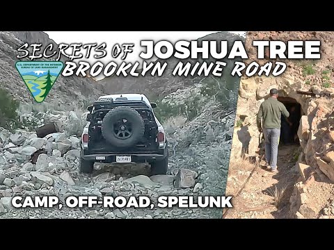 Video: Joshua Tree National Park: Der vollständige Leitfaden