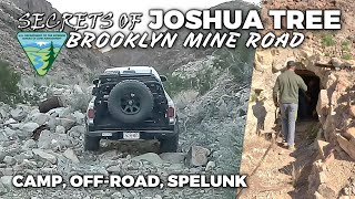 SECRETS OF JOSHUA TREE:  Brooklyn Mine Road (camp, off-road, spelunk) by JonDZ Adventuring 9,837 views 3 months ago 32 minutes