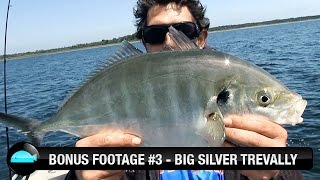 Bonus Footage Big Silver Trevally On Lure We Flick Fishing Videos