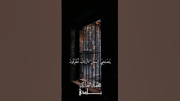إِنِ ٱلۡحُكۡمُ إِلَّا لِلَّهِ بصوت القارئ محمد خالد نادي #islamicstatus #quran #islamicvideo #islam