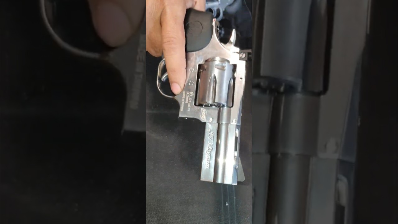 Dan Wesson 2.5 Co2 Revolver