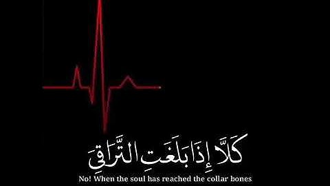 حالات واتس اب دينيه /اجمل حالات انستغرام قران كريم بصوت الشيخ ناصر القطامي❤️