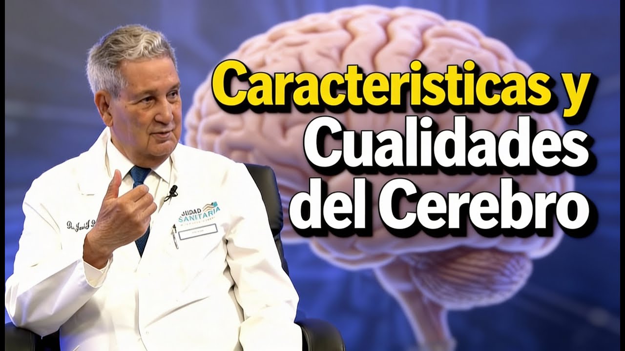 Caracteristicas y Cualidades del Cerebro