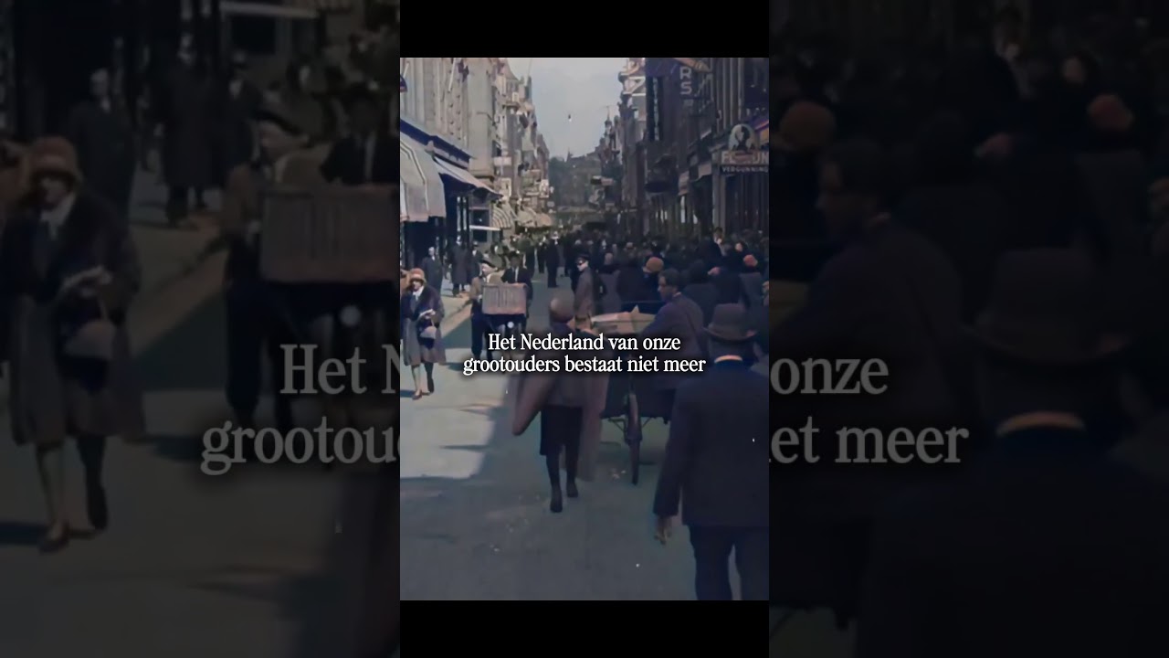 Thumbnail Een asielstop was gisteren nodig. FVD wil nu remigratie stimuleren.