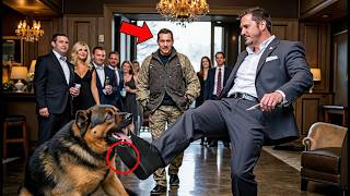 “It’s Just a Dog!” They Kicked a Navy SEAL K9 — Then Froze When She Stormed In