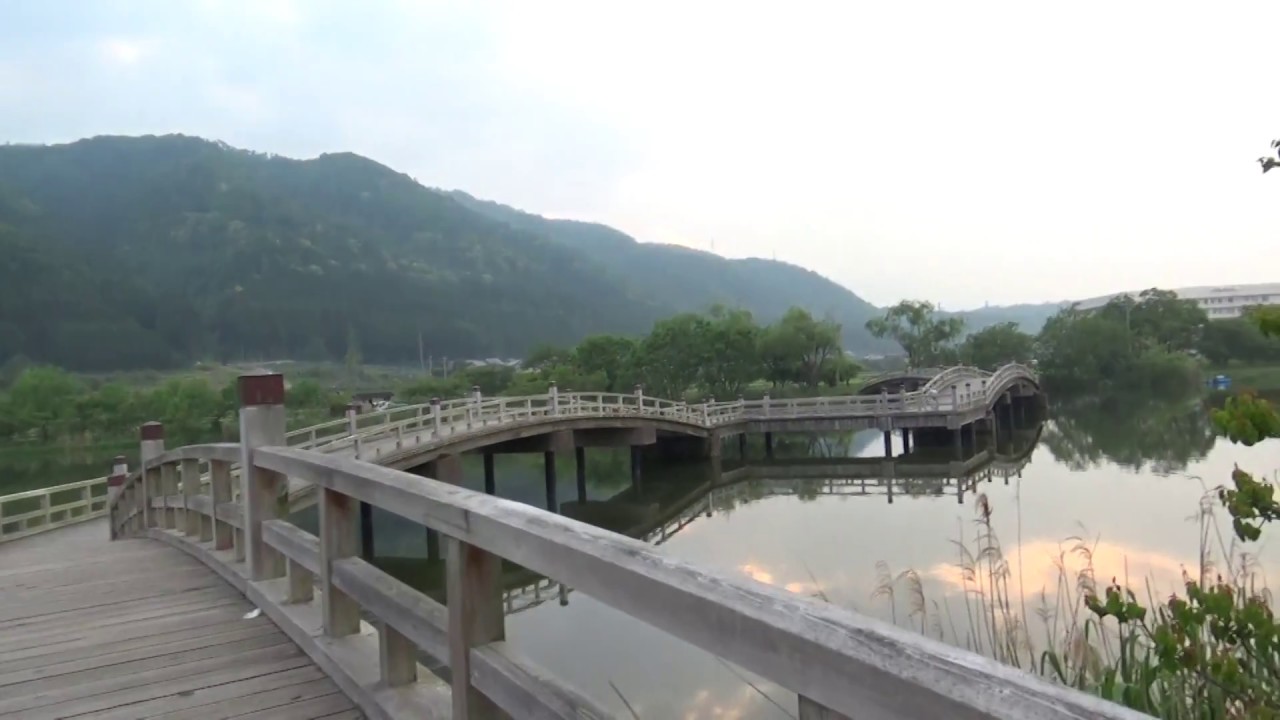 滋賀県 高島市 乙女ヶ池 Jr近江高島駅 Takashima Otome Ga Pond Jr Omi Takashima 027 Youtube