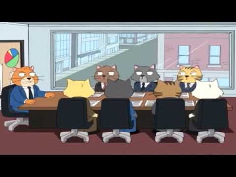 Cat Staff Meeting (Explosion)