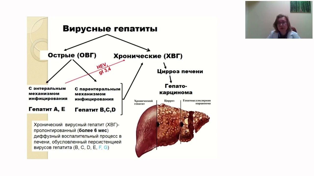Школа клинического мышления педиатра. Лекция: Борзакова С.Н. Хронические вирусные гепатиты у детей