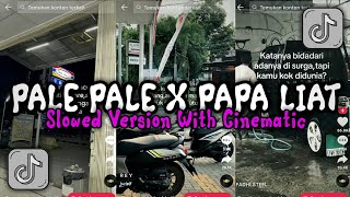 DJ PAPA LIAT X PALE PALE X DIGI BAM BAM X EMANG ENAK SLOWED + REVERB VIRAL TIKTOK