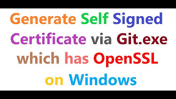 How to generate Self Signed Certificate using Git.exe which has OpenSSL on Windows