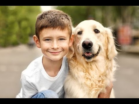 Children And Dogs – How They Can Live Together