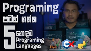 Top 5 programing languages for beginners