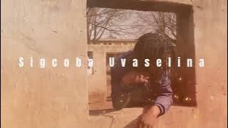 UGcabashe ft Ivez' elihle -   Sigcoba uVaselina ( Maskandi ) 🔥🔥🔥🔥‼️