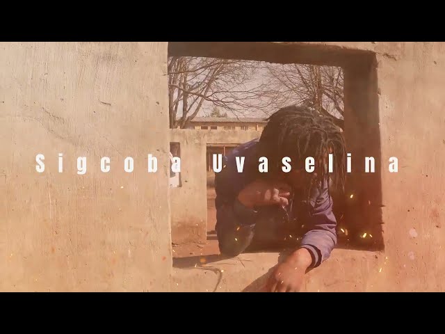 UGcabashe ft Ivez' elihle -   Sigcoba uVaselina (Official Maskandi Music Video) 🔥🔥🔥🔥‼️ class=
