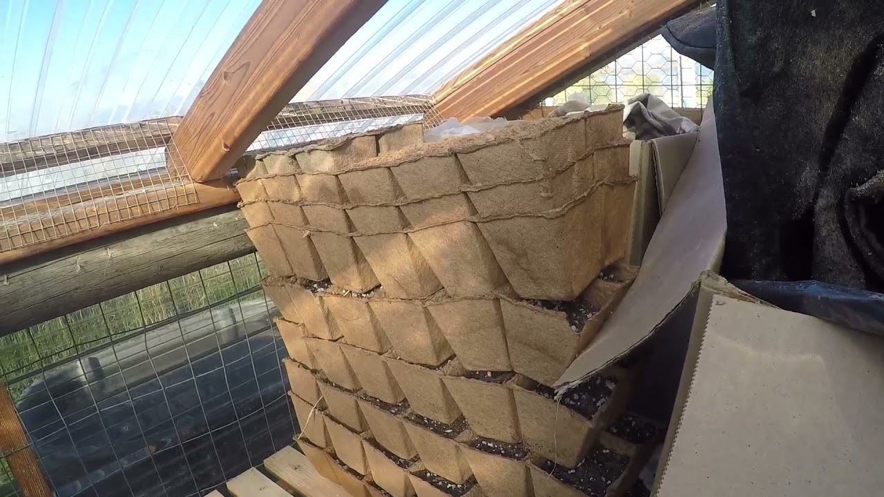 CowPots - PooPots REVIEW