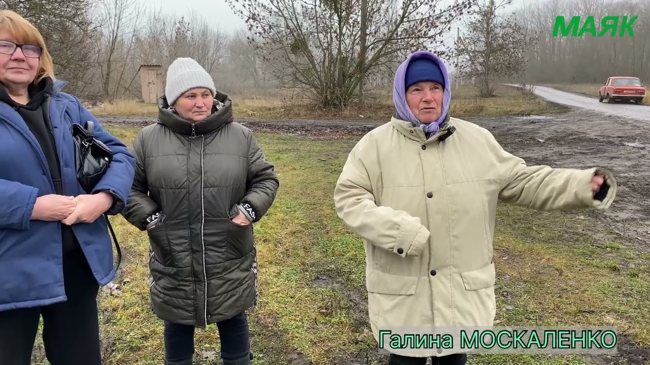 Трагедія у Гавришах: собака до смерті загризла жінку 