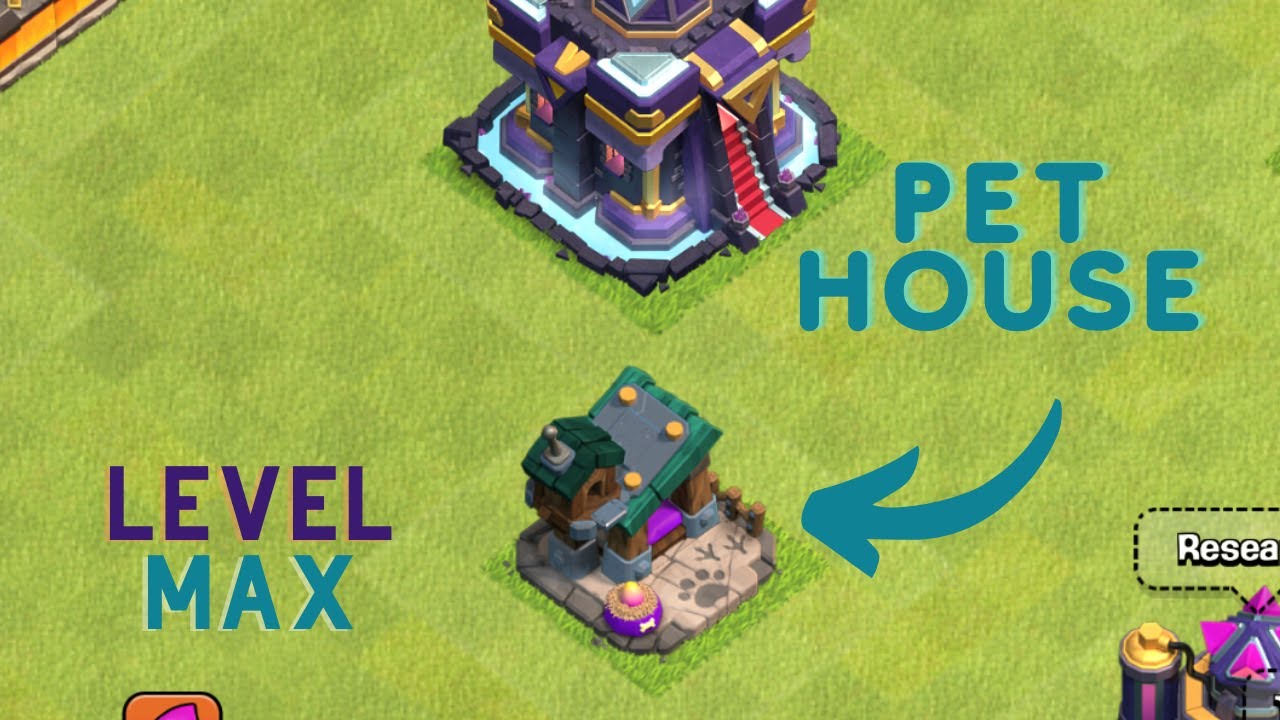 Pet House Upgrade Level 1 to Max Clash of Clans Clash Cuts YouTube