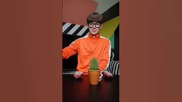 Thumbnail of Cactus fruit combination