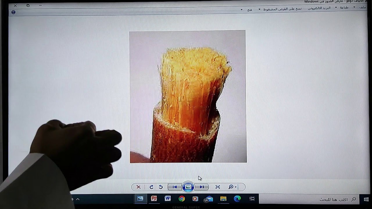 خلايا النبات و انسجته الجزء الأول