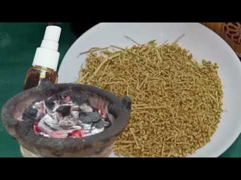 اقوى عشبة الفيجل لعلاج جميع انواع السحر والمس والعين والتابعة والعكس المونيع وفتح باب القبول