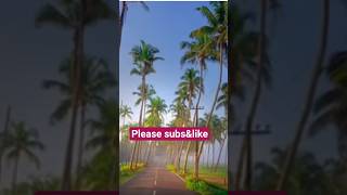 Al Quran Sureh Noor#trending #video #shortsfeed #allbayan #kareem #quotes #motivation #viralvideos