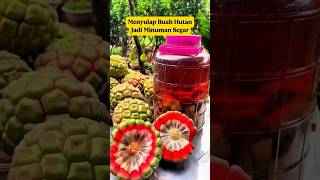 This Strange Fruit Can Be Turned Into a Delicious Drink‼️