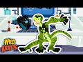 Gecko Power and Tail Defense Quiz