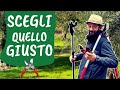 SCEGLIERE LE FORBICI: guida completa agli ATTREZZI da POTATURA