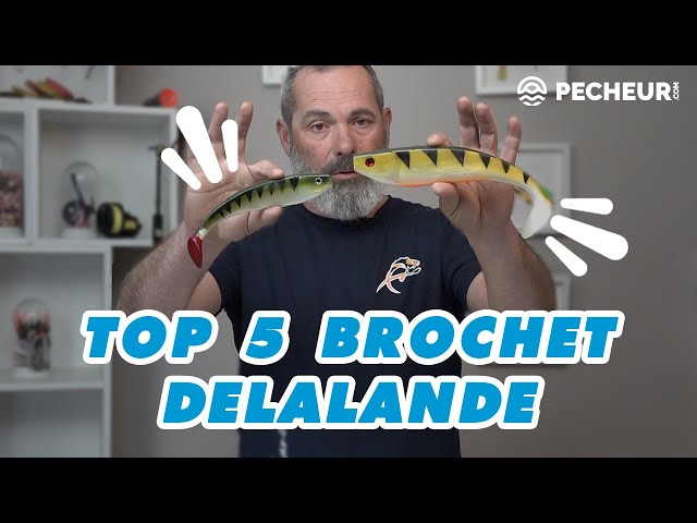 Pêche du Brochet : 5 leurres souples pour l'ouverture 2022 - Delalande Pêche  - Leurres souples