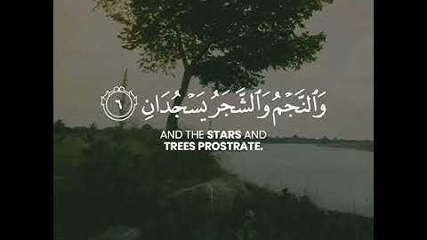 سورة الرحمان آية 1-13❤️🎙