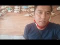 Pilihlah yang terbaik