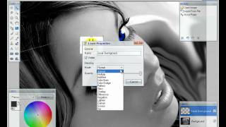 Paint Net tutorial. Import file.