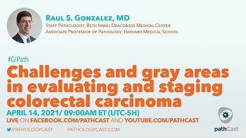 Challenges and gray areas in evaluating and staging colorectal carcinoma - Dr. Gonzalez (BIDMC)