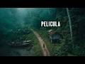 Ellos Tocaron Una Reliquia Prohibida En El Bosque Película Completa En Español 