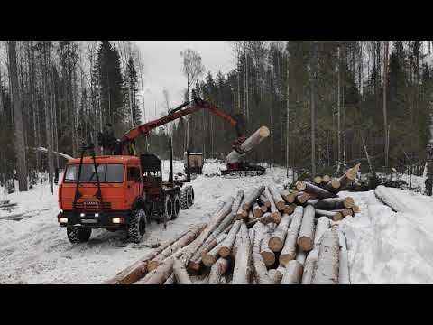 погрузка древесины манипулятором сф-65